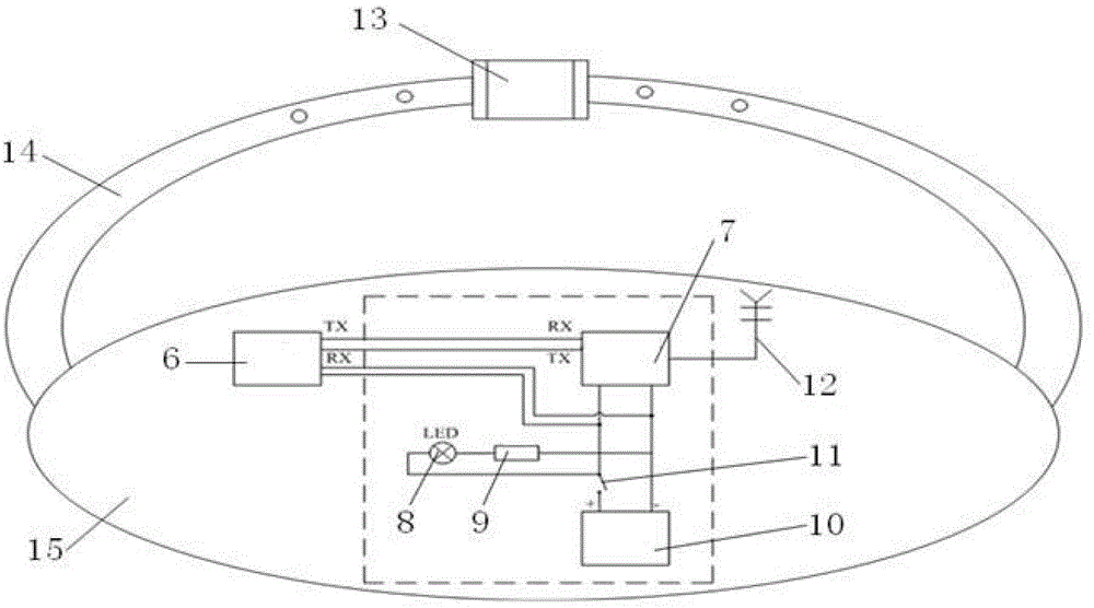 Wireless body temperature monitoring belt for immersion suit