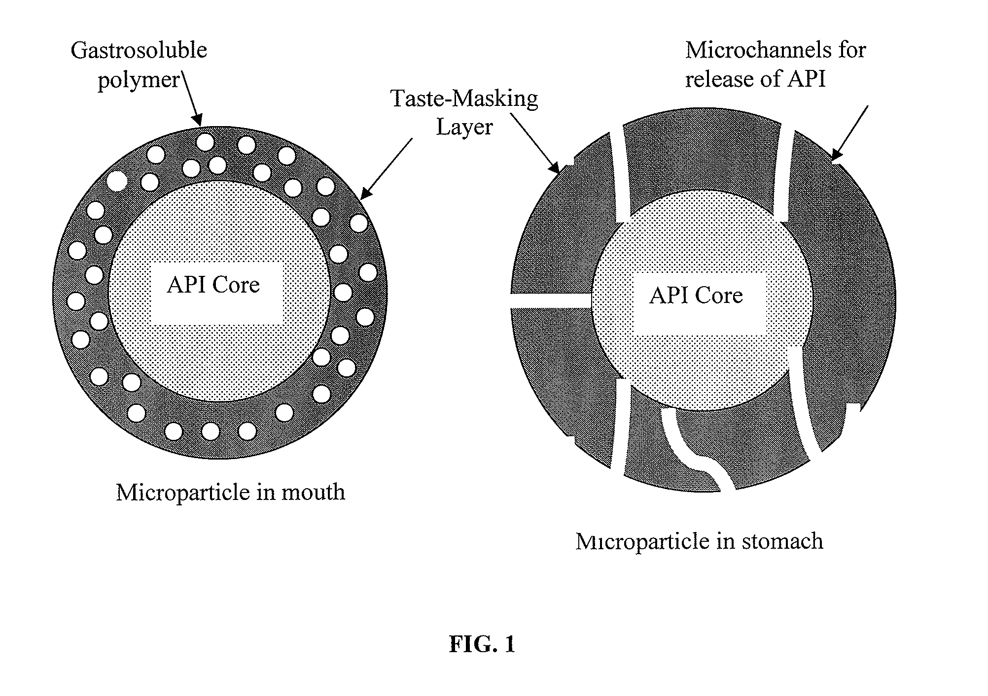 Pharmaceutical Compositions Comprising an Active Substance from the Substituted Benzhydrylpiperazine Family