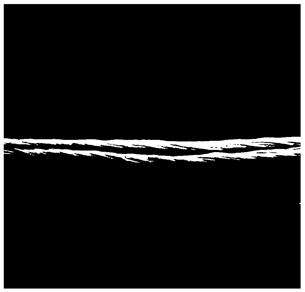 Bionic stent simulating natural tendon tissue fiber hierarchical structure and preparation method of bionic stent