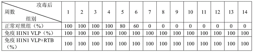 Recombination recin toxin B chain truncated protein and expressing method and application thereof