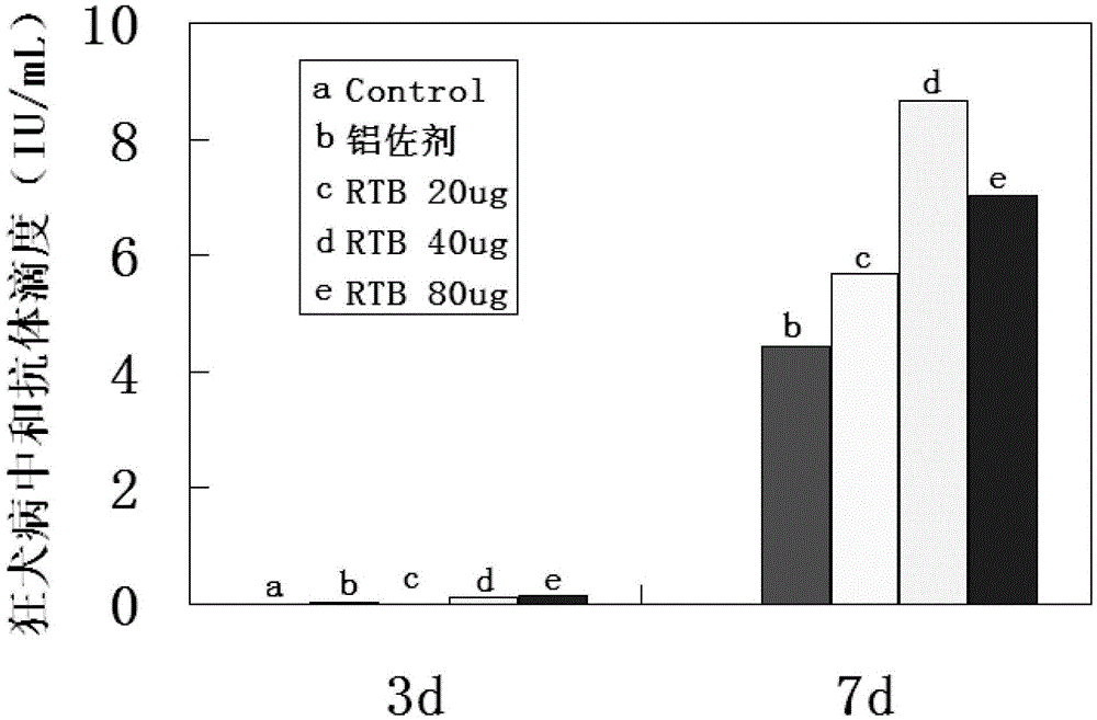 Recombination recin toxin B chain truncated protein and expressing method and application thereof