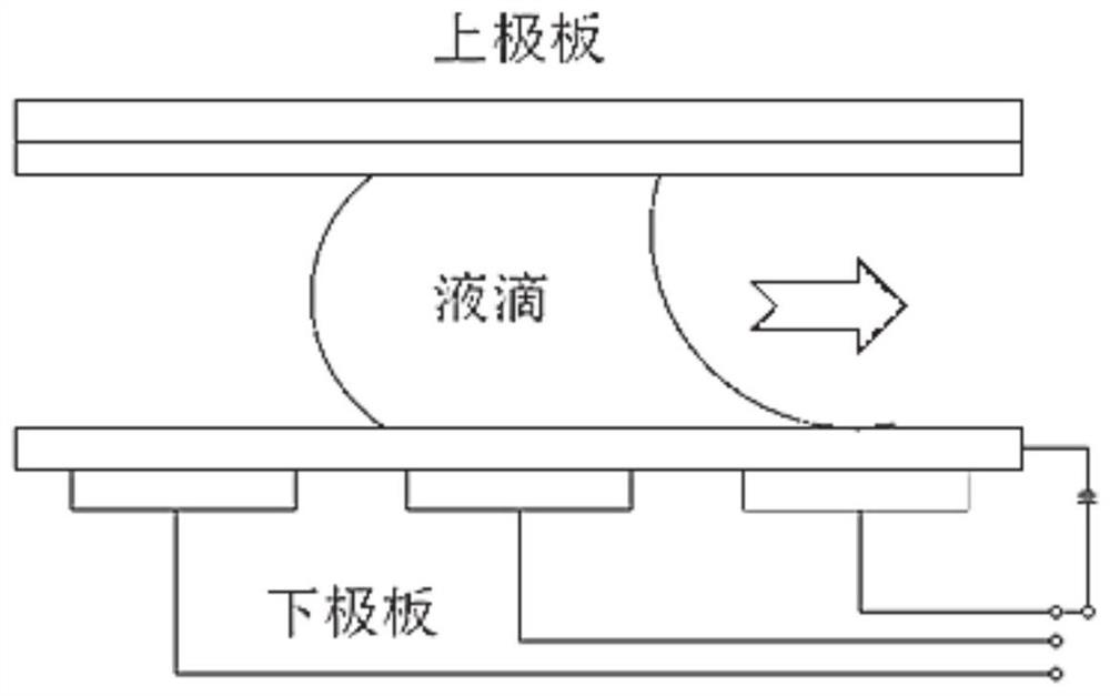 Automatic bacterium detection system and method based on digital microfluidics