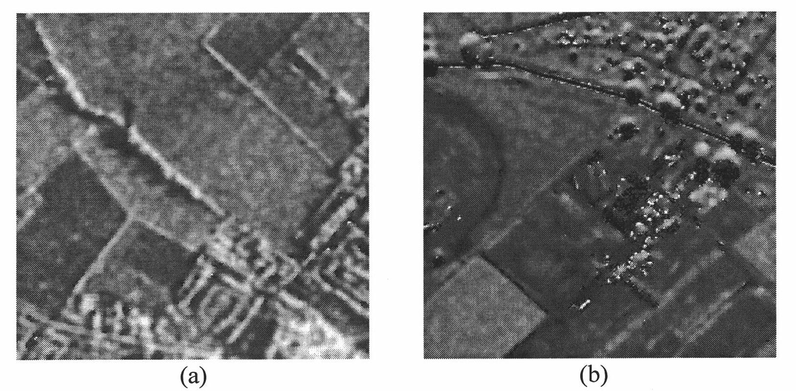 SAR image de-speckling method based on improved Bayes non-local mean filter