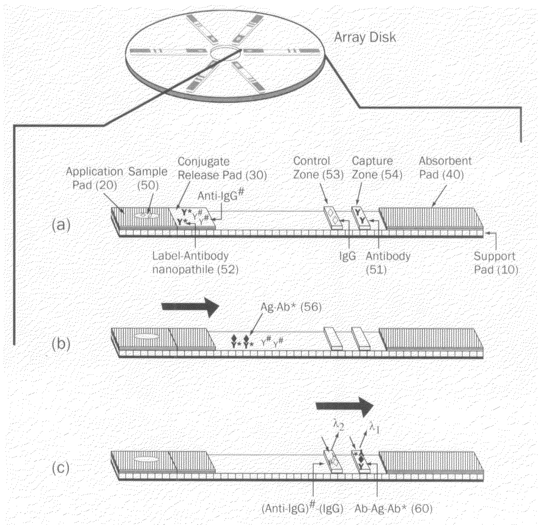 Fluorescence-based lateral flow device with improved sensitivity