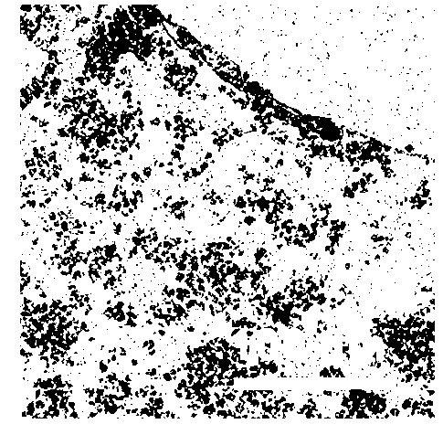 Preparation method of iron oxyhydroxide/graphene oxide composite material