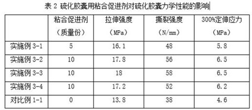 Adhesion promoter for vulcanization capsule and preparation method thereof