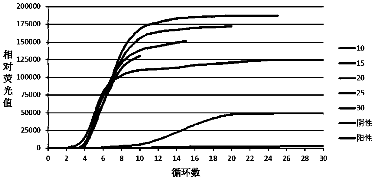 Fast detection method of ureaplasma urealyticum based on RPA