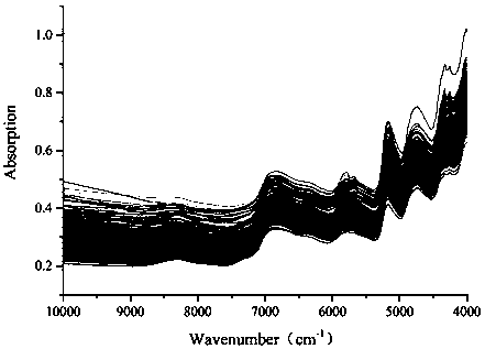 Near infrared spectrum detection method for evaluating quality of medicinal material of gentiana straminea maxim