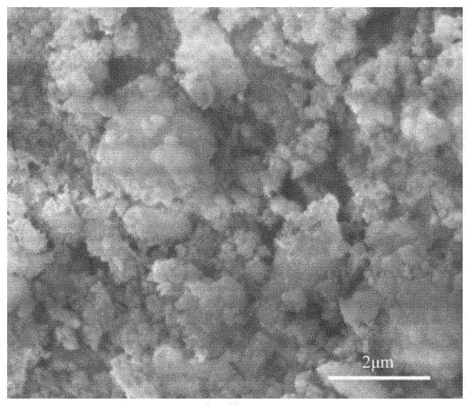 Preparation method of micron or nanometer calcium phosphate/catechol-based polymer bone repair scaffold