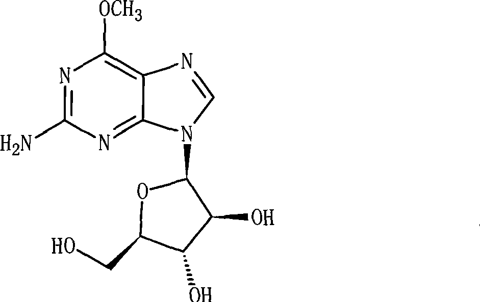 Nelarabine injection