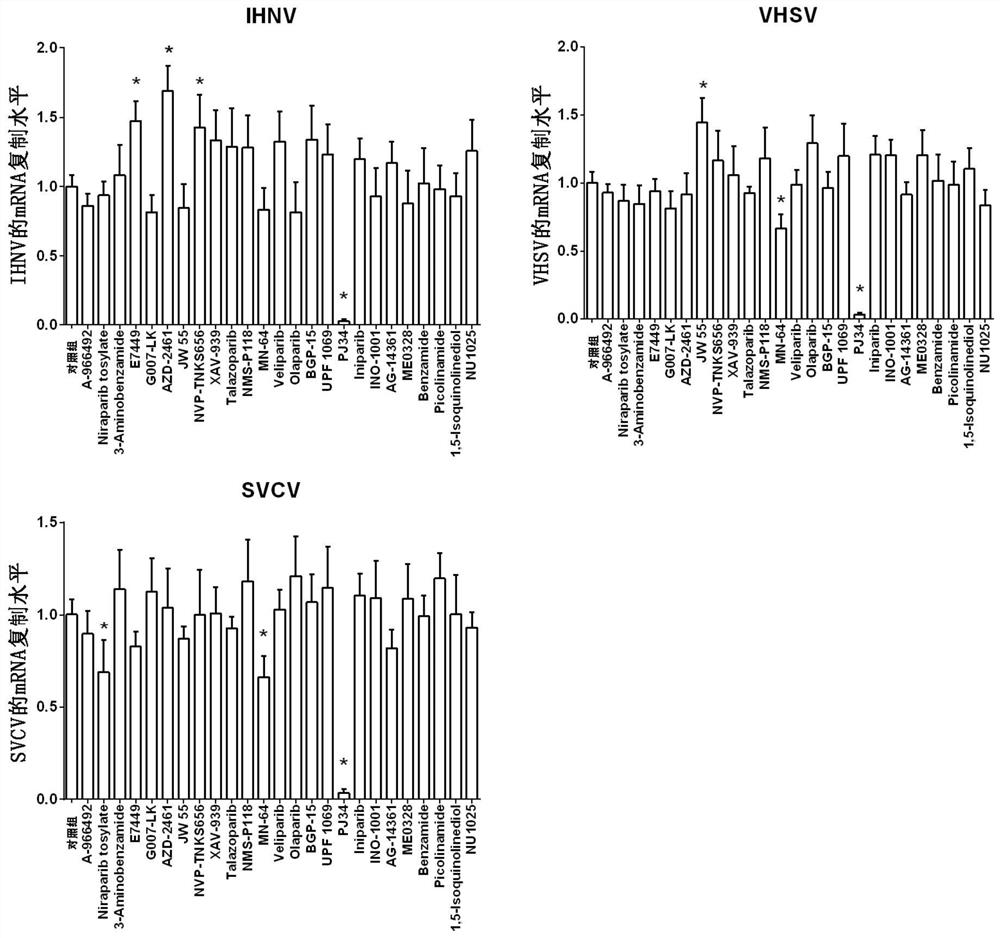 Application of parp inhibitor pj34 in the preparation of anti-fish rhabdovirus products