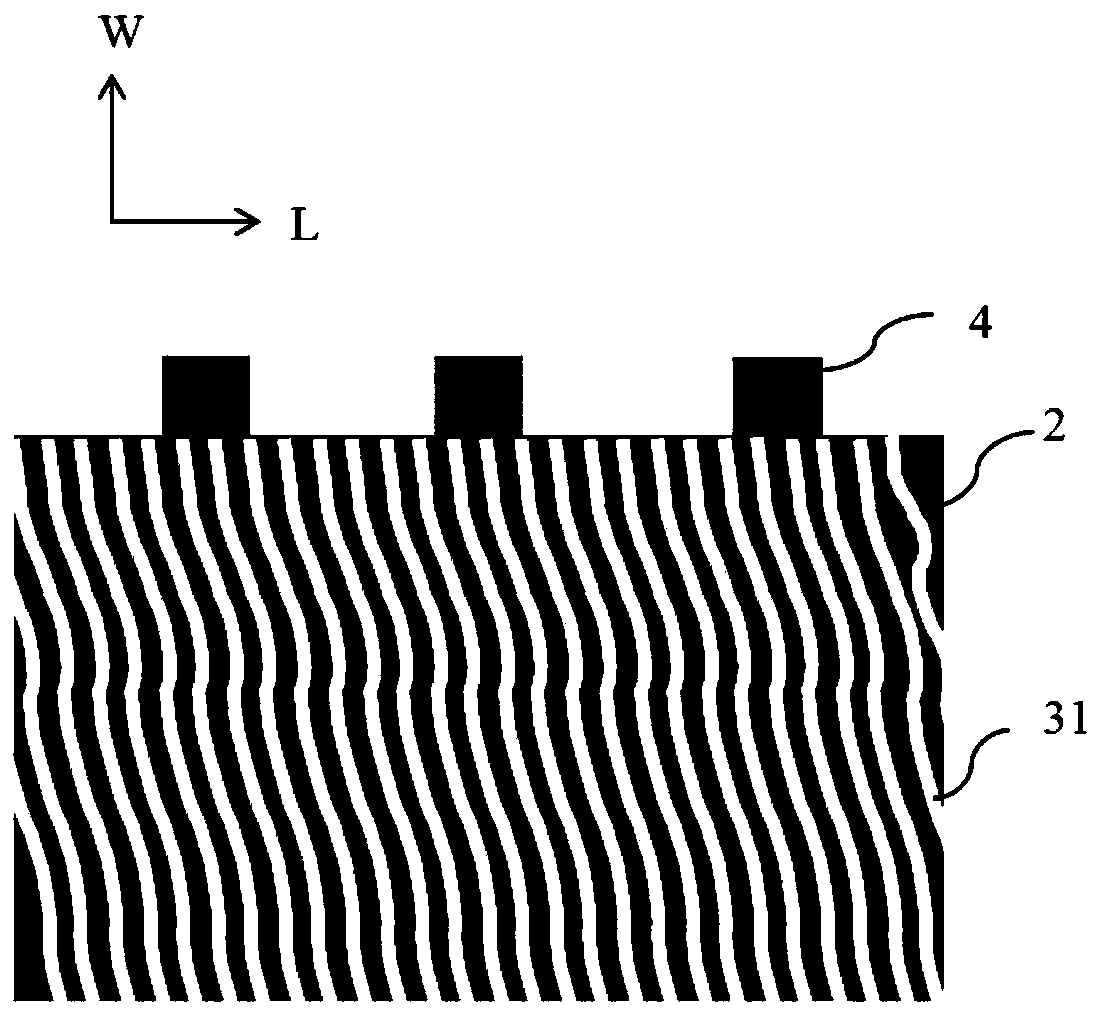 Electrode assembly and lithium ion battery