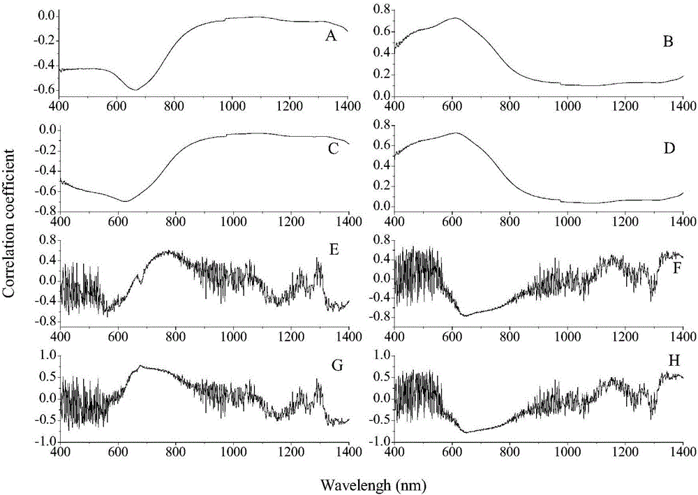 Method for measuring anthocyanin content of purple corn blades, and system thereof