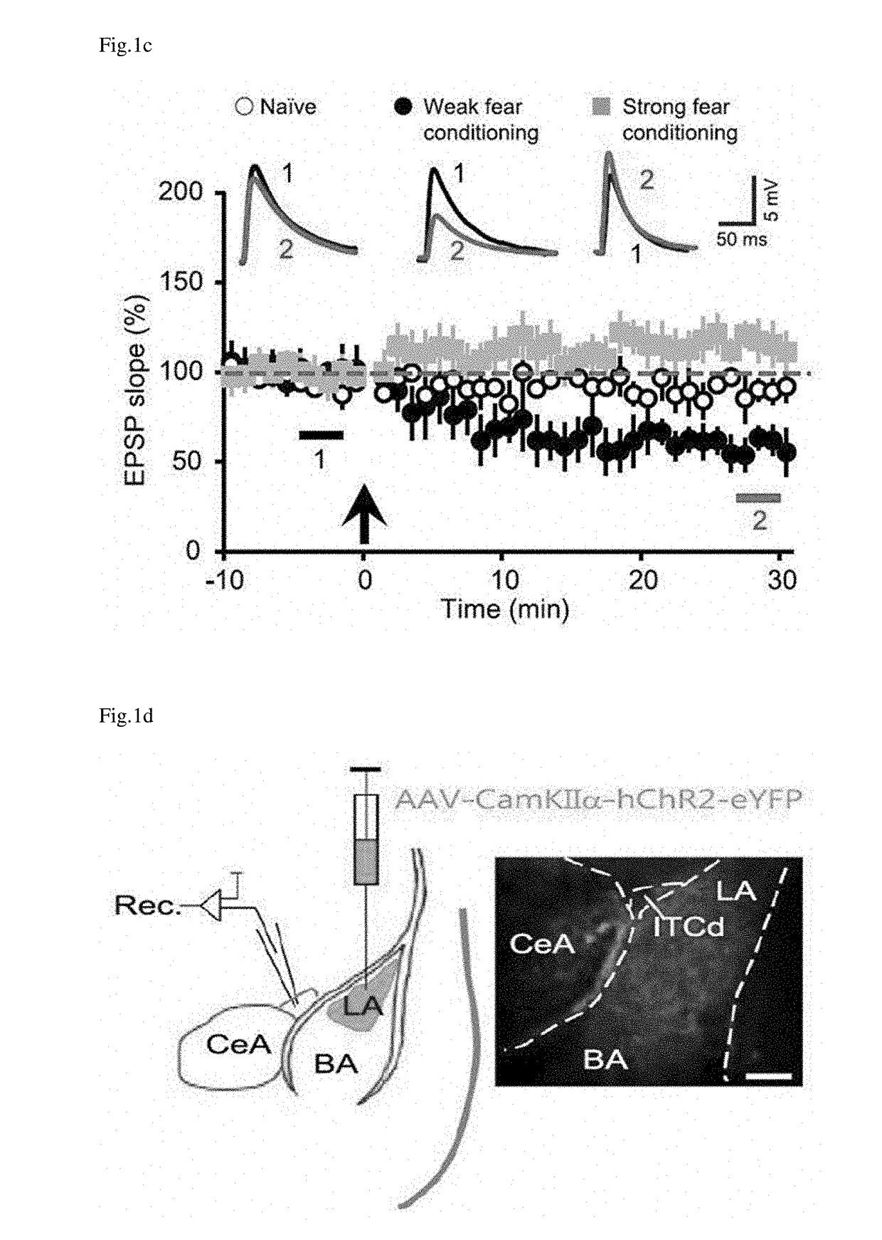 Pharmaceutical composition for treating posttraumatic stress disorder