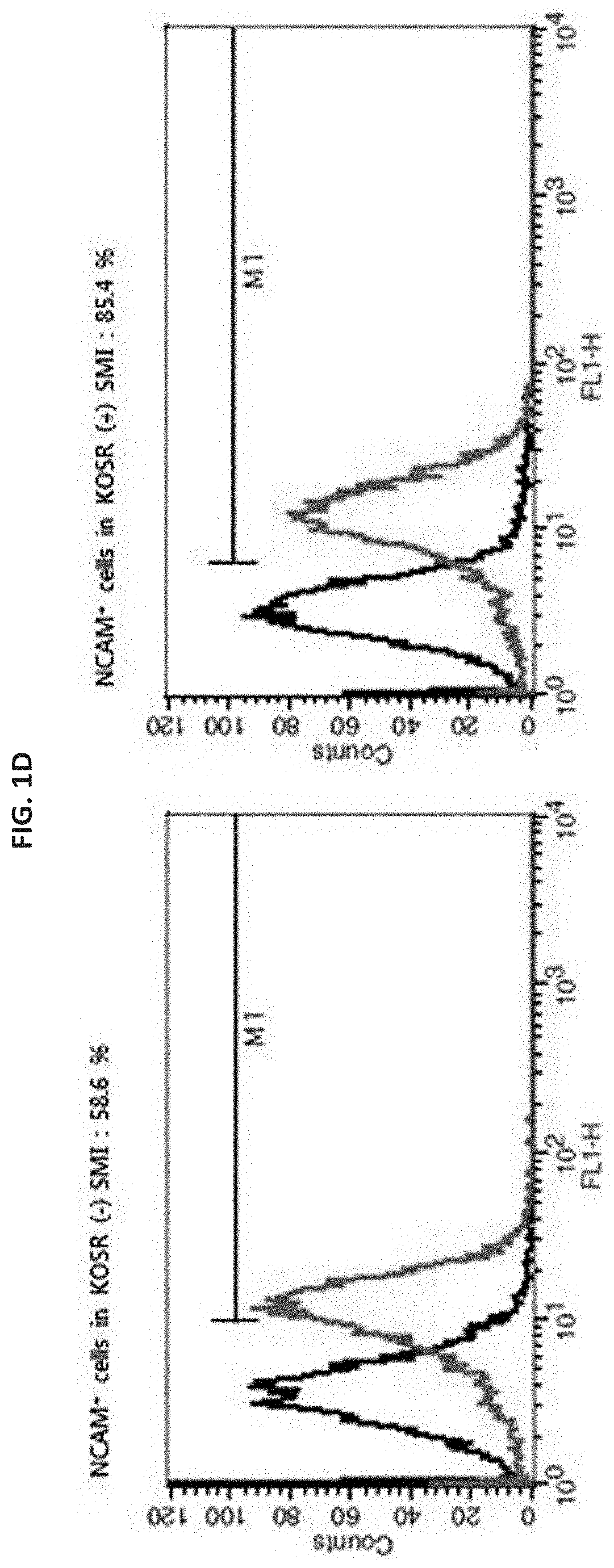 Composition for cell regeneration comprising cells hypersecreting growth factors, and at least one of neural stem cells, neurons and gabaergic neurons