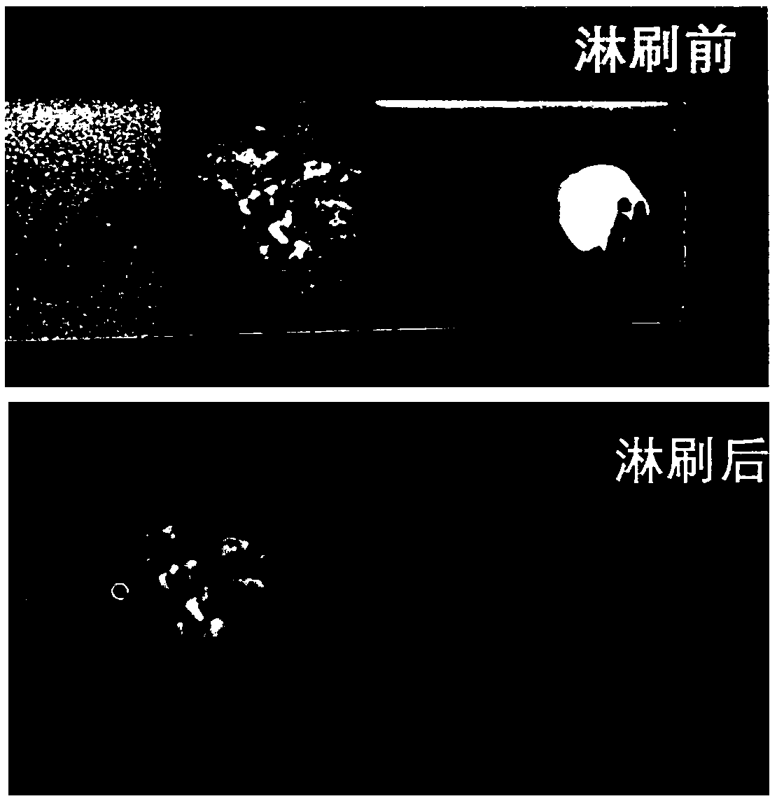 Fermented paenibacillus poly myxa and preparation method and application thereof