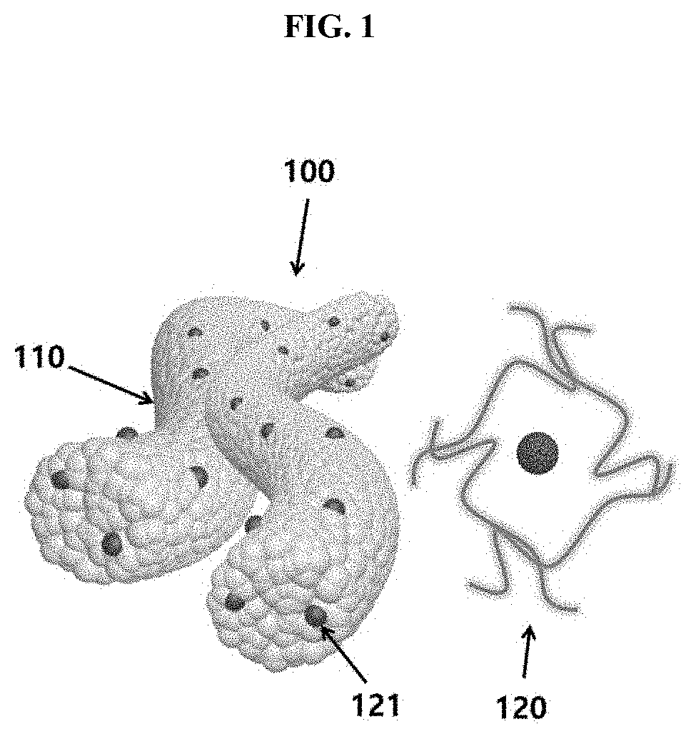 Metal Oxide Nanofibers Including Functionalized Catalyst Using Chitosan-Metal Complexes, and Member for Gas Sensor, and Gas Sensor Using the Metal Oxide Nanofibers, and Method of Fabricating the Same