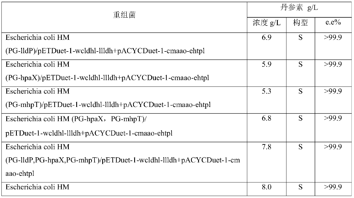 An engineering bacterium and its application to produce danshensu with cheap substrate