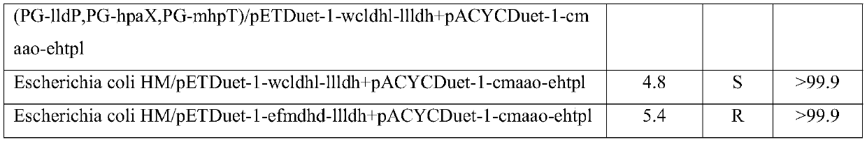 An engineering bacterium and its application to produce danshensu with cheap substrate