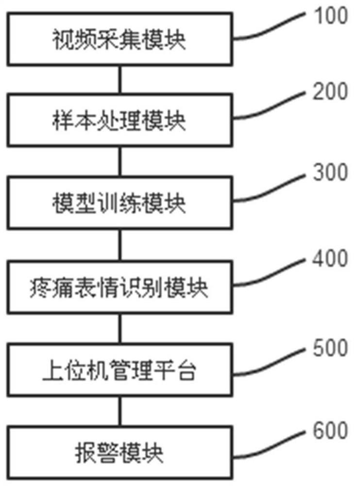 Facial pain expression recognition method and system based on depth information