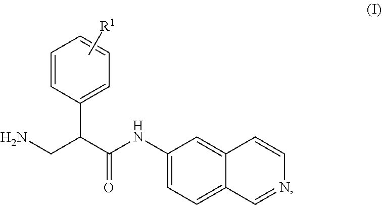 Mono-(ACID) salts of 6-aminoisoquinolines and uses thereof