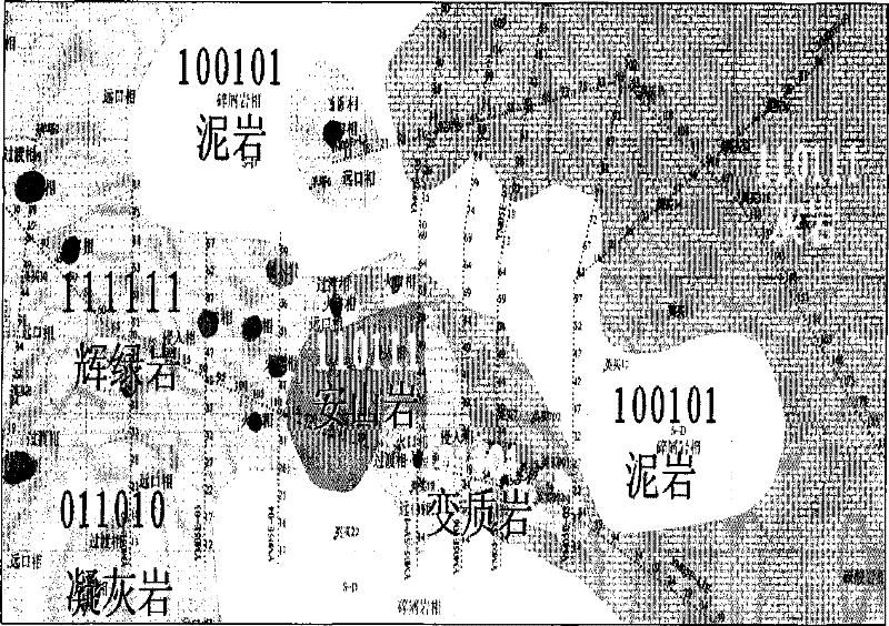 Method for recognizing the lithology of petrosilex by using the combined characteristics of gravity-magnetic-electronic anomaly