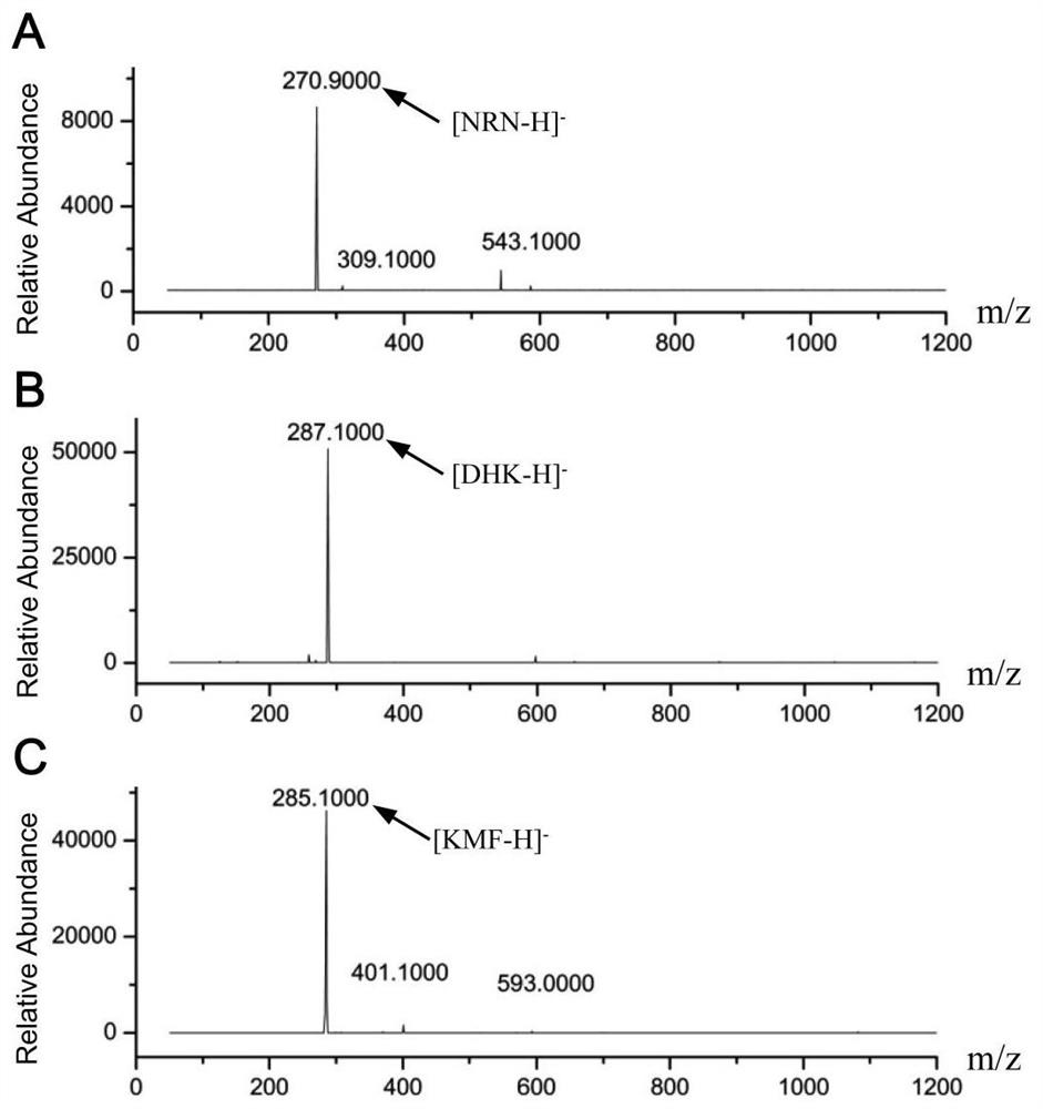 A method for enzymatically synthesizing kaempferol