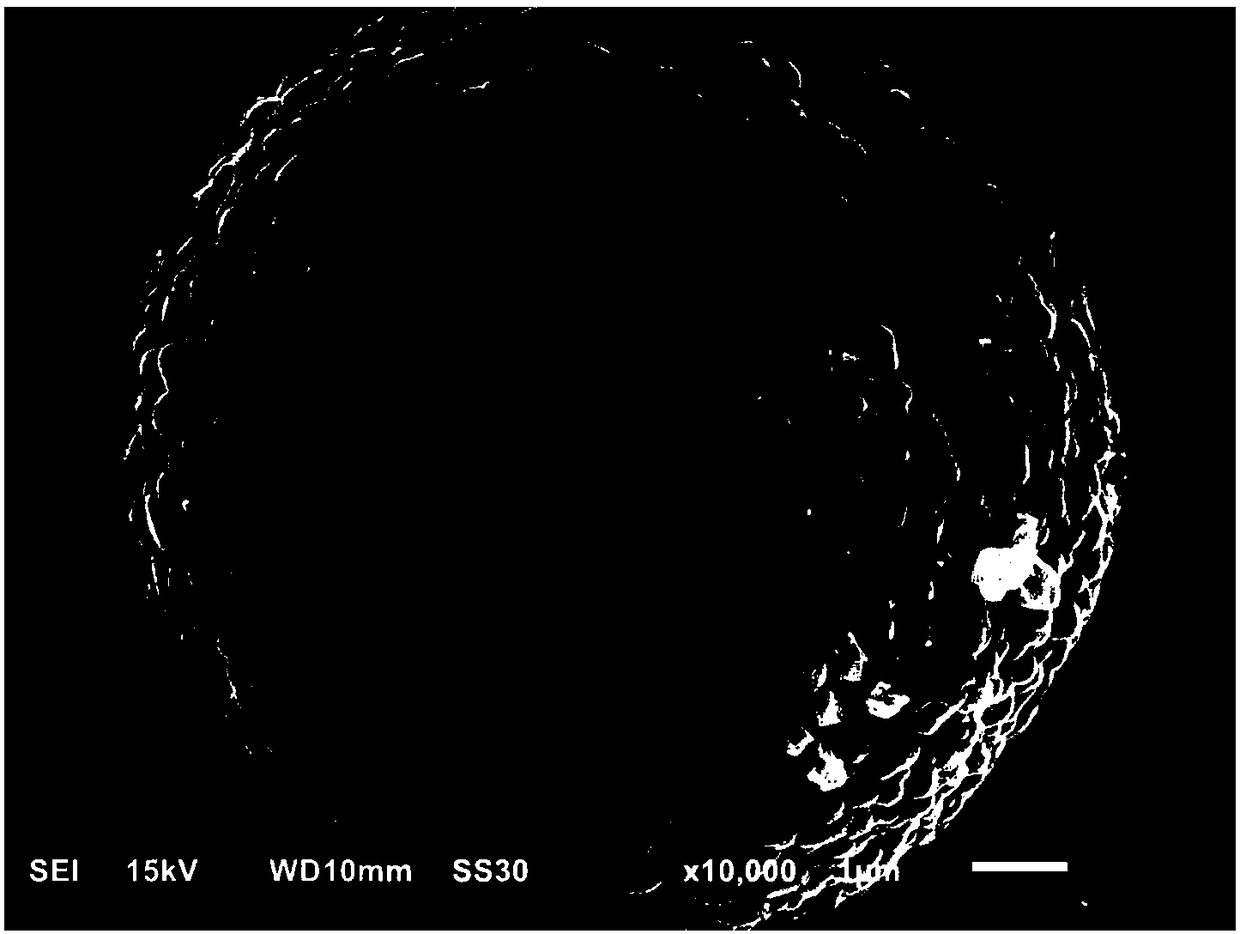 Lithium ion-electron mixed conductor modified ternary anode material and preparation method