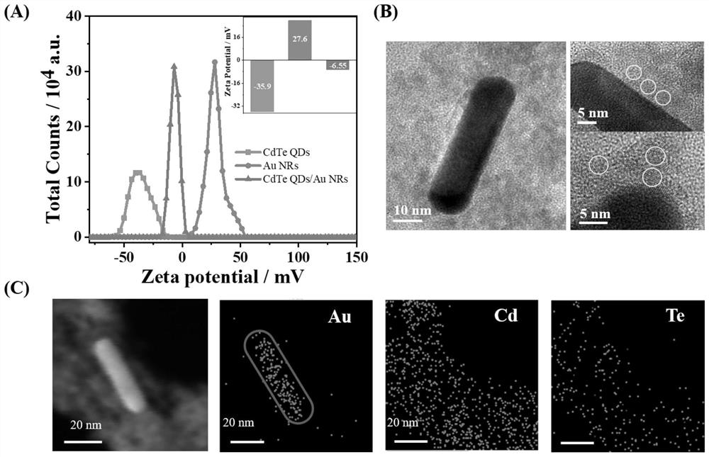 Preparation method of photoelectrochemical sensor for detecting in-situ ratio of Cry1Ab protein in transgenic crop