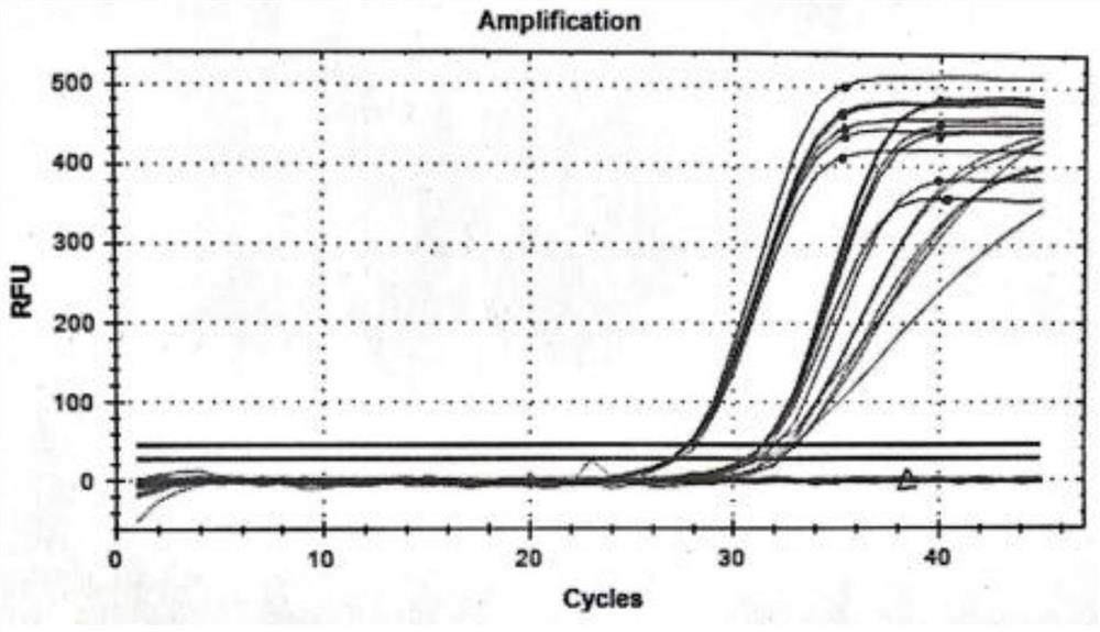 Sex identification method for mammalian embryo