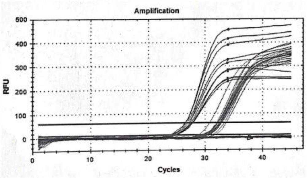 Sex identification method for mammalian embryo