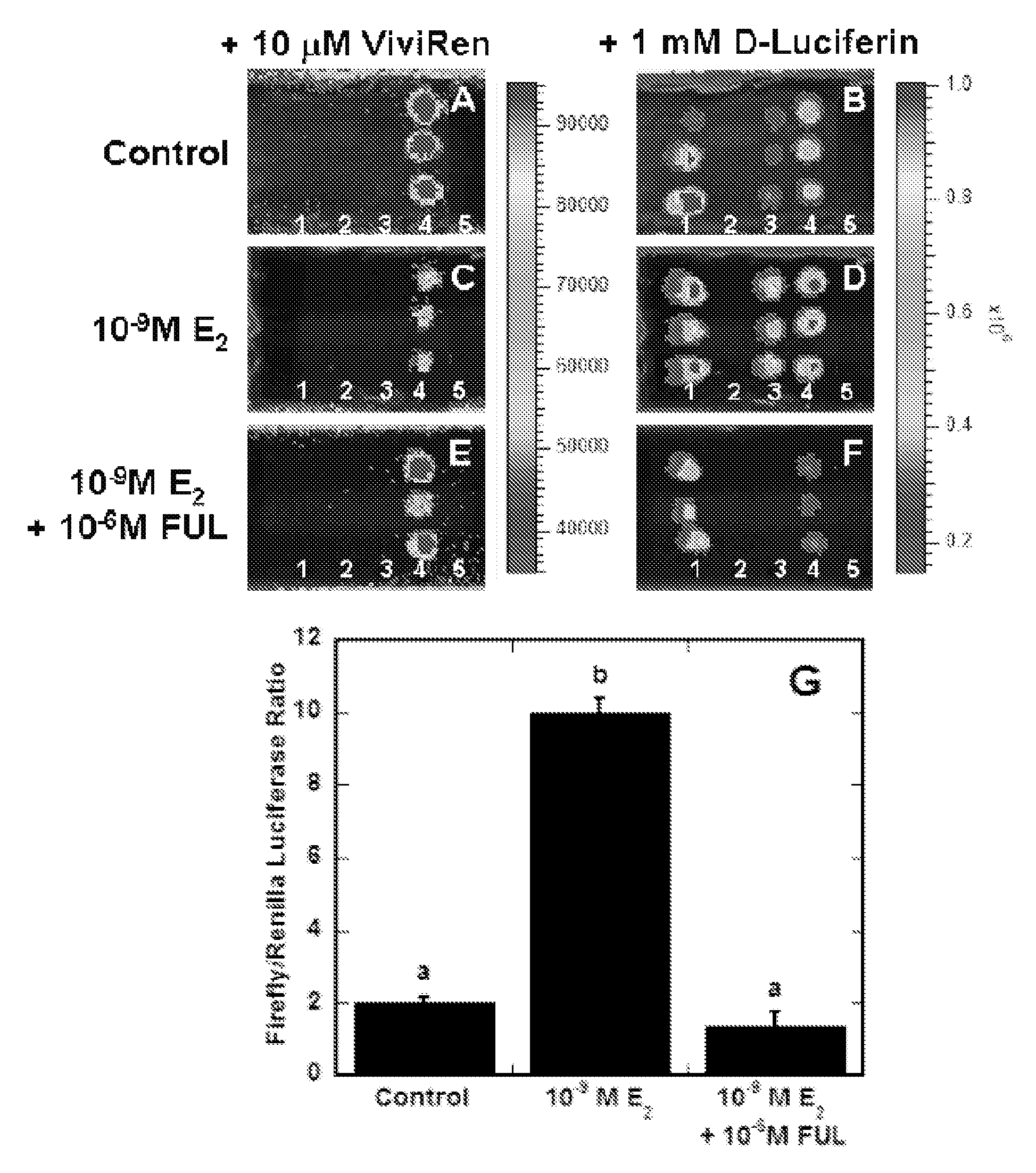 Cellular Arrays