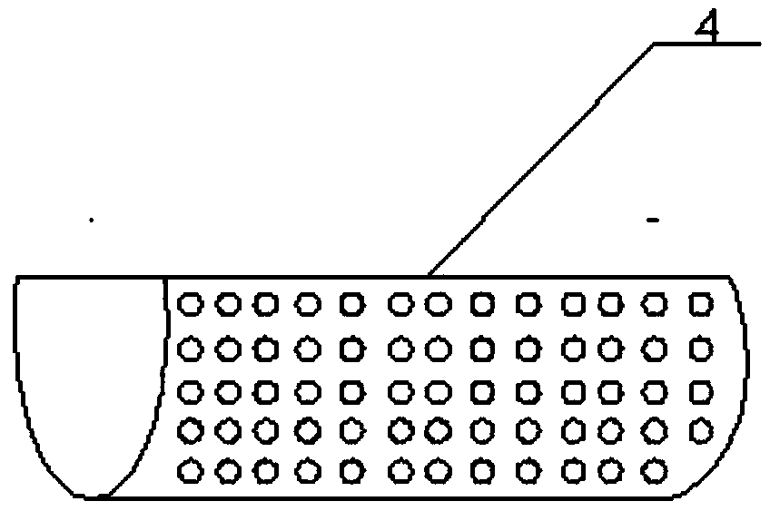 Fruit cutting device