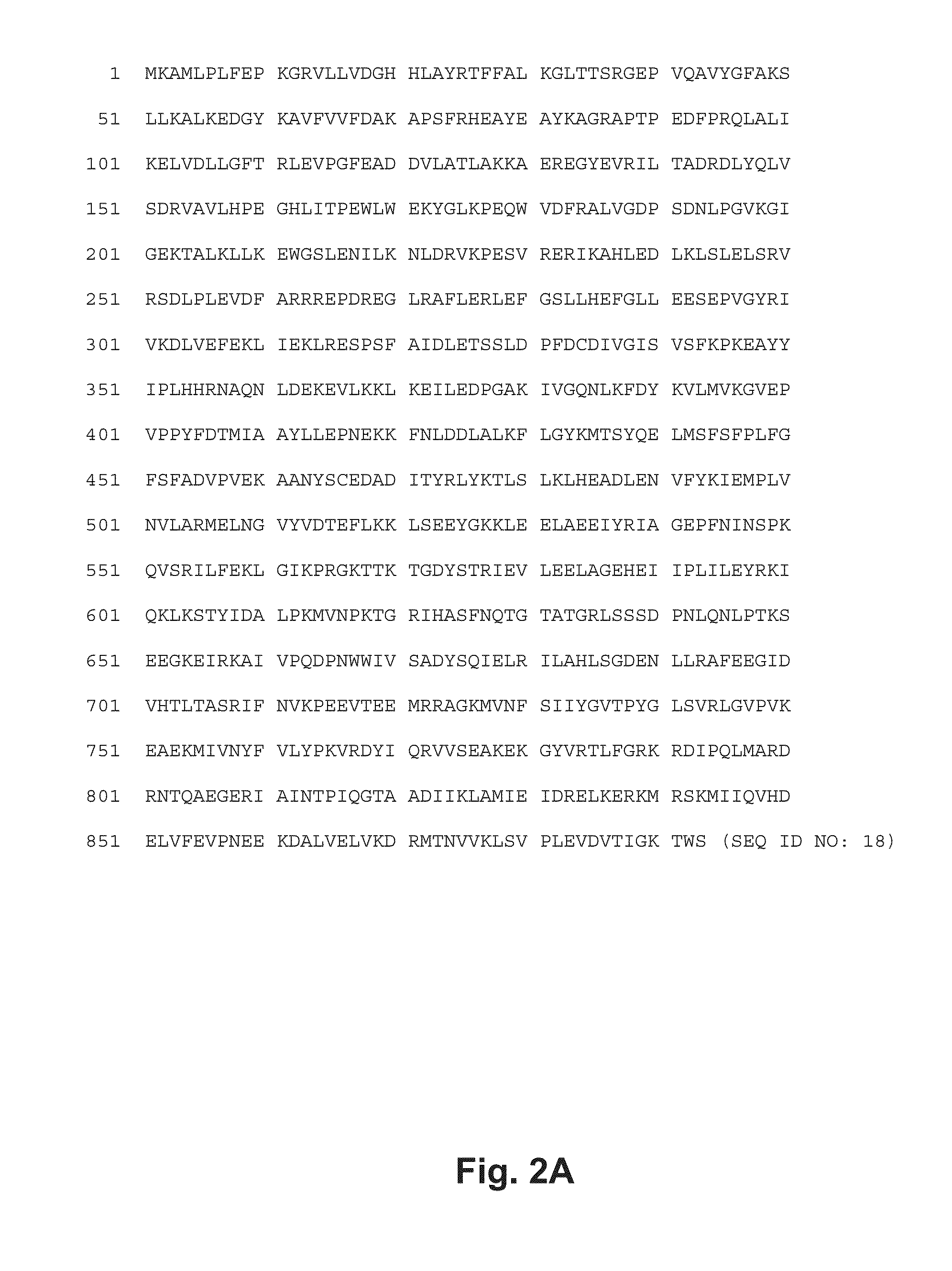 DNA polymerases and related methods