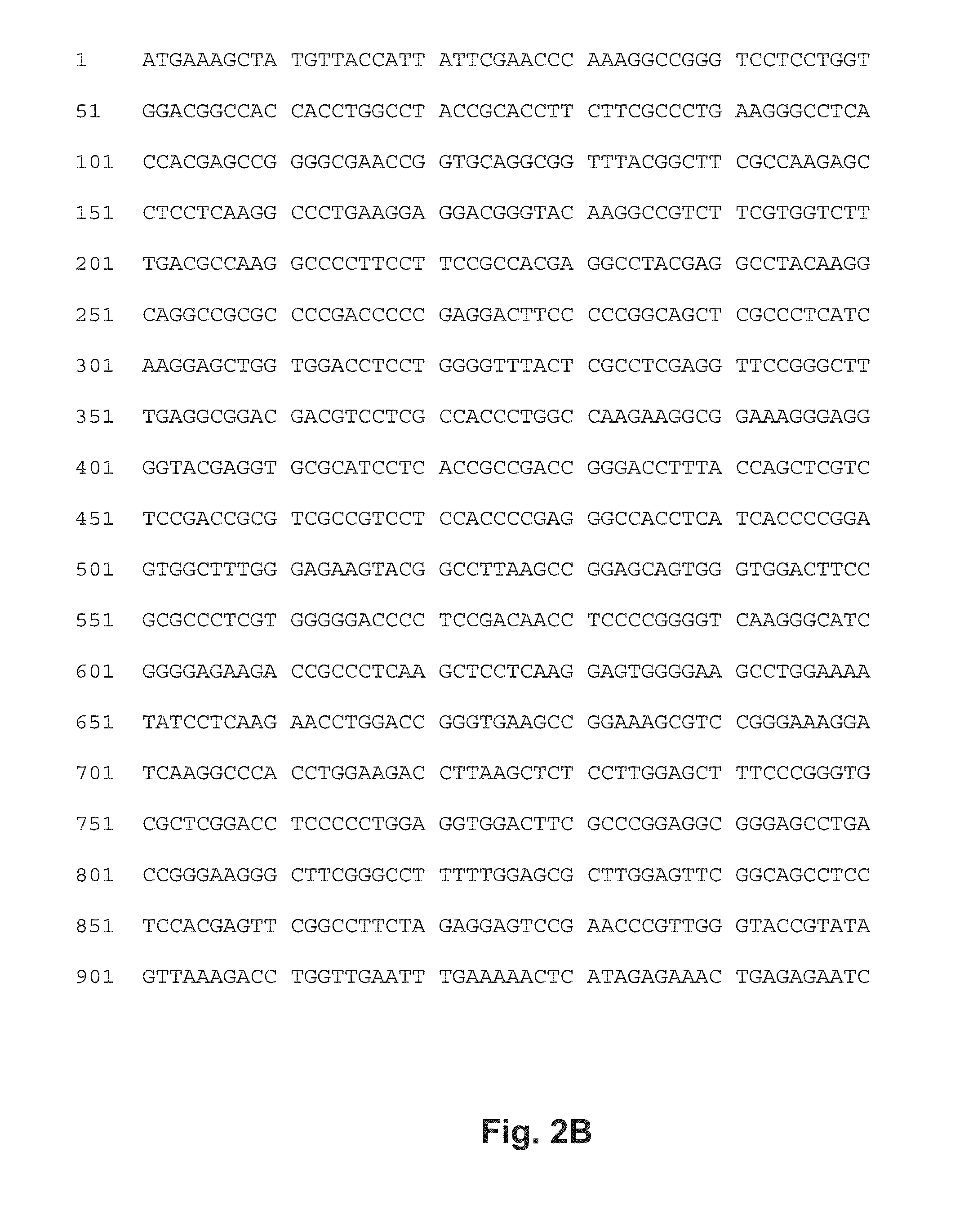 DNA polymerases and related methods