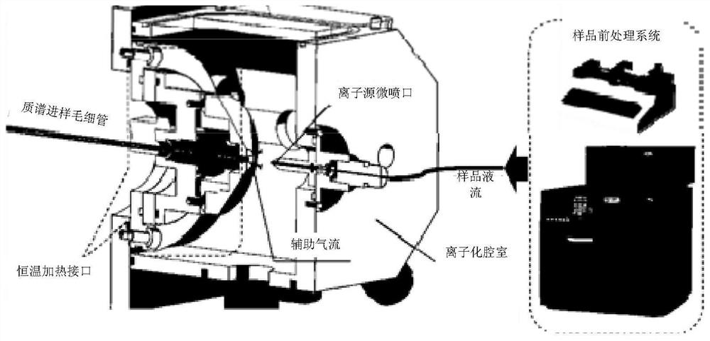 Electrospray ion source device without auxiliary gas cylinder