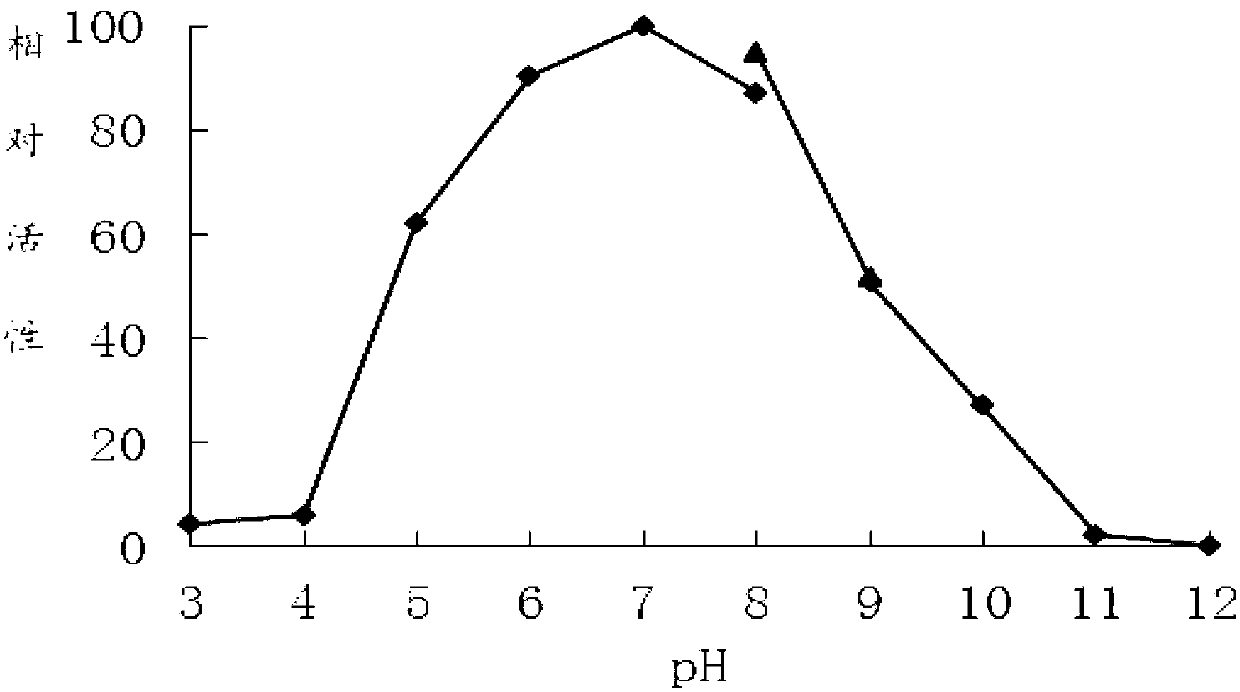 High-temperature alkaline xylanase XYN11A as well as gene and application thereof