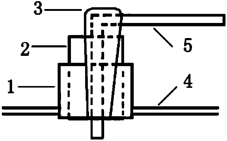 Near infrared spectroscopy and electrode combined detection device