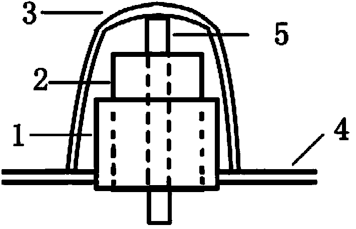 Near infrared spectroscopy and electrode combined detection device