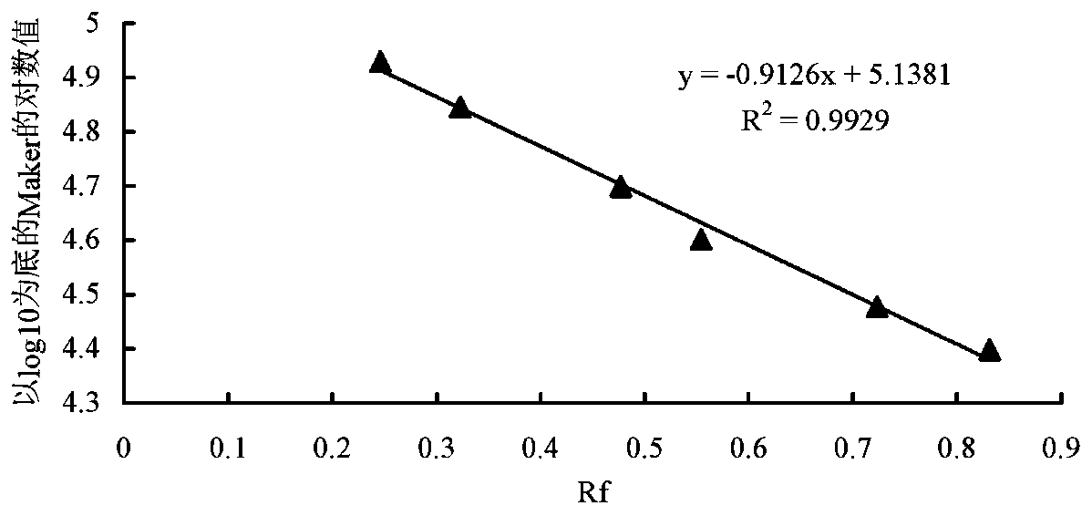 Lactobacillus paracasei ALAC-4 and bacterium restraining application thereof