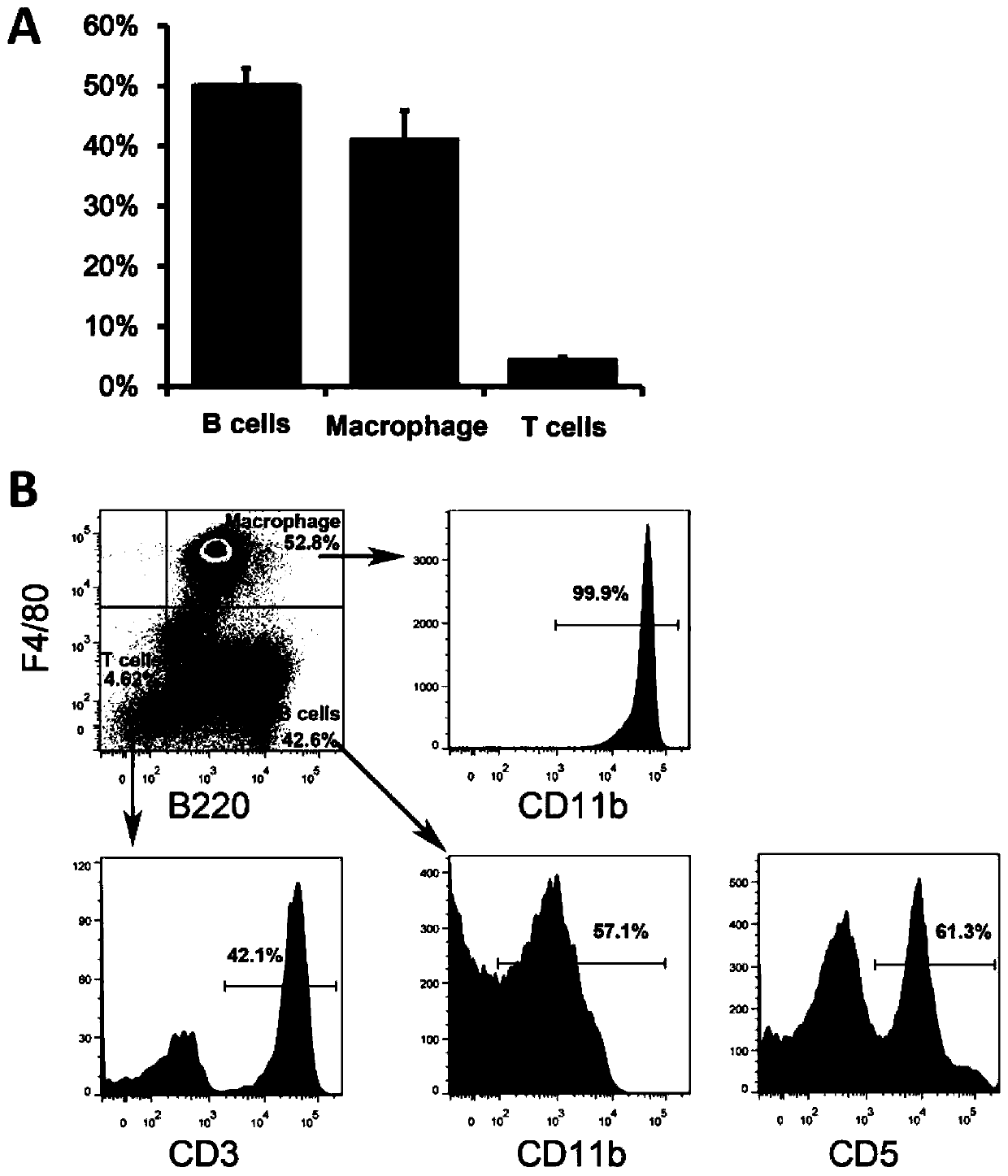 Application of peritoneal cells to induction of differentiation of T cells into regulatory T cells