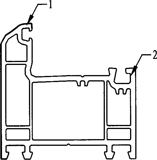 Coextruded light storage type self luminous plastic irregular profile and its production method