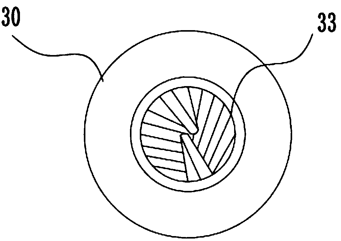 Feed capable of preventing and controlling loach saprolegniasis and feeding device