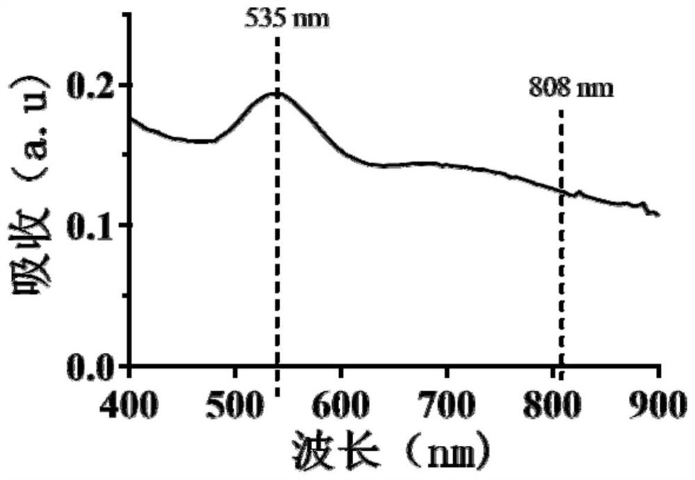 Gadolinium-doped gold nanoparticles, biomimetic synthesis method and application of gadolinium-doped gold nanoparticles in stem cells