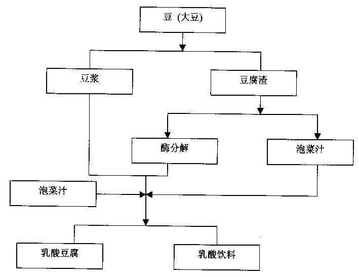 Bean curd containing lactic acid fermenting bacteria culture fluid and method for preparing same, and beverage containing lactic acid fermenting bacteria and method for preparing same