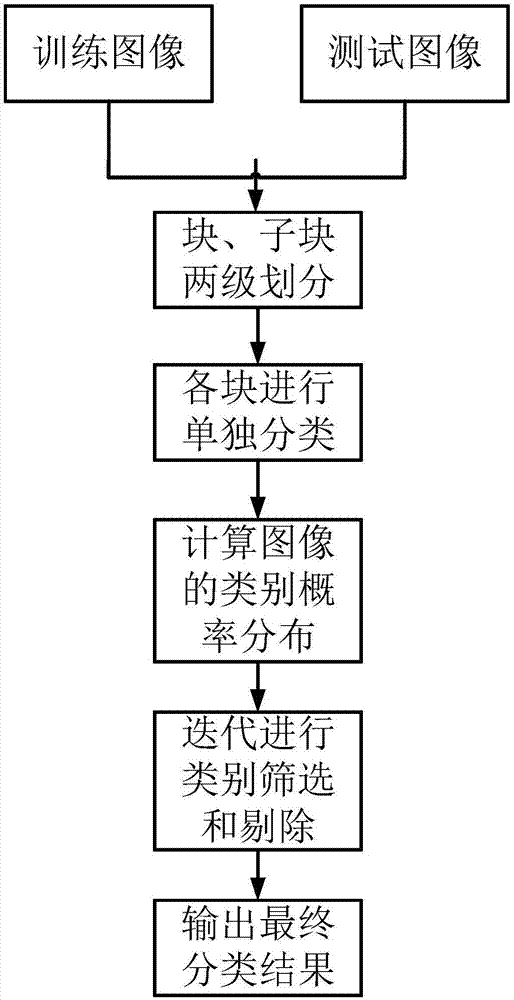 Single-sample face recognition method based on sparse probability distribution and multi-stage category screening