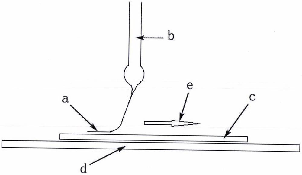 Separation method of magnaporthe oryzae