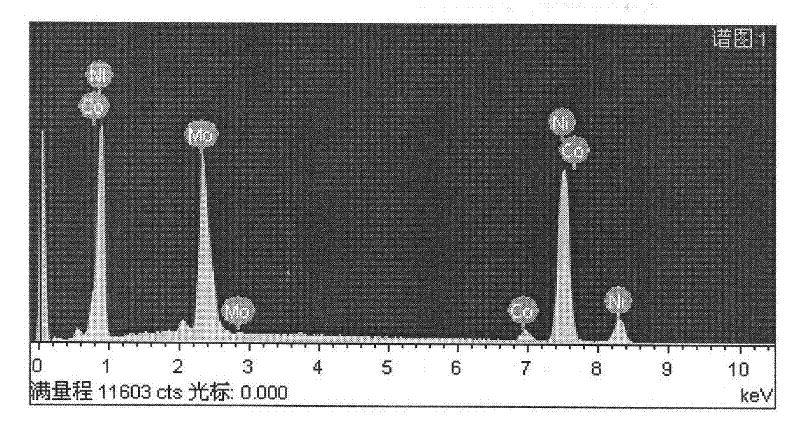 Multi-element alloy foam material and preparation method thereof