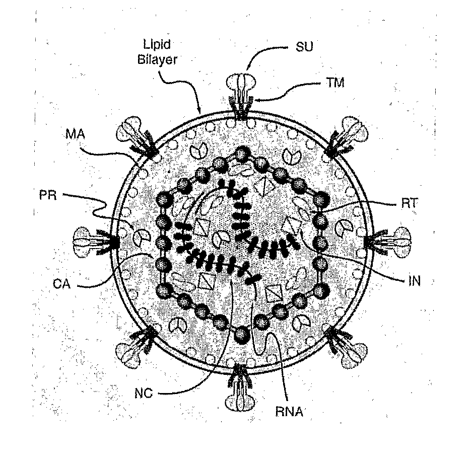 Chimeric Viral Envelopes