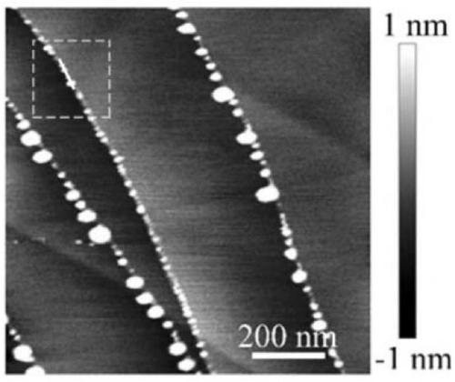 Preparation method of salt nano-particles